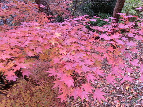 b0239909_21522989.jpg