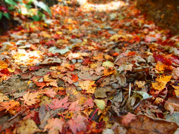 b0244811_22303573.jpg