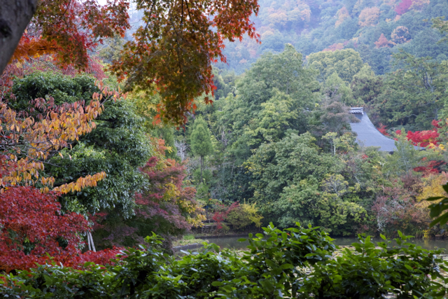 c0153411_18221467.jpg