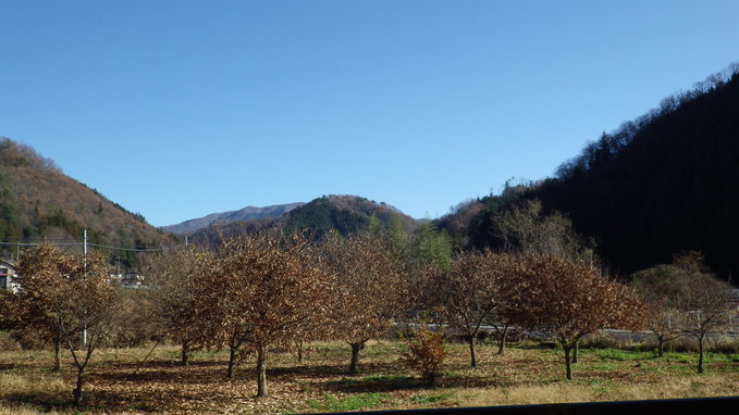 a0218118_10211410.jpg