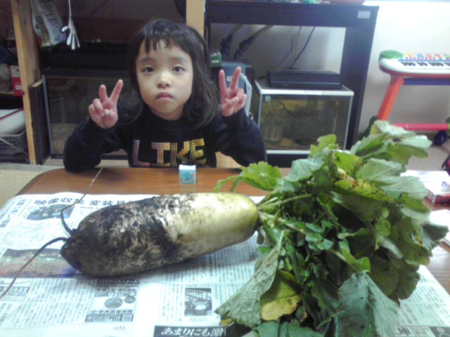 a0291521_1543169.jpg