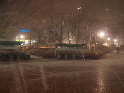 c0157625_235680.jpg