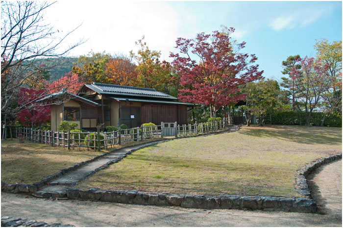 d0029829_6462119.jpg