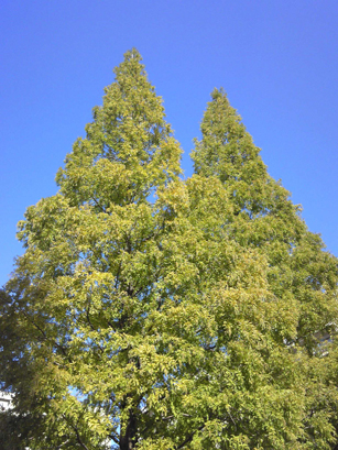 a0259533_189211.jpg