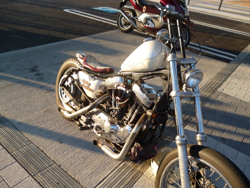 c0216033_1415350.jpg