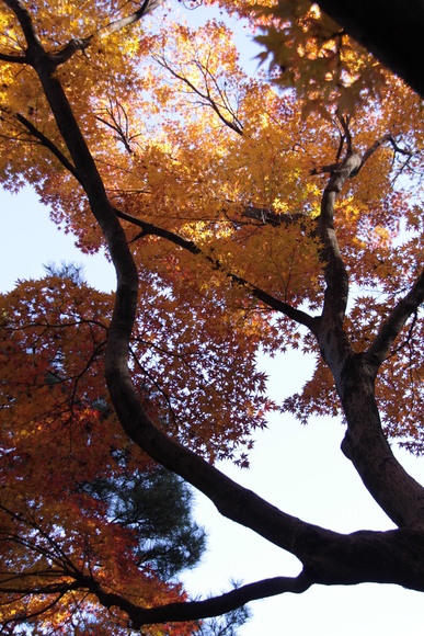f0217933_1620133.jpg