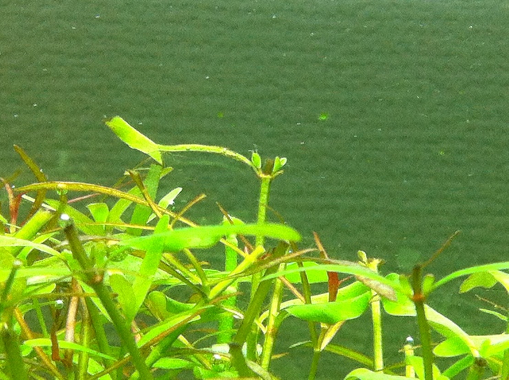c0250835_18225448.jpg