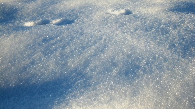 f0131535_22321024.jpg