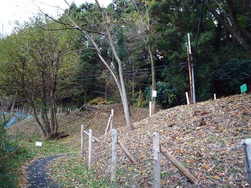 e0022839_021898.jpg