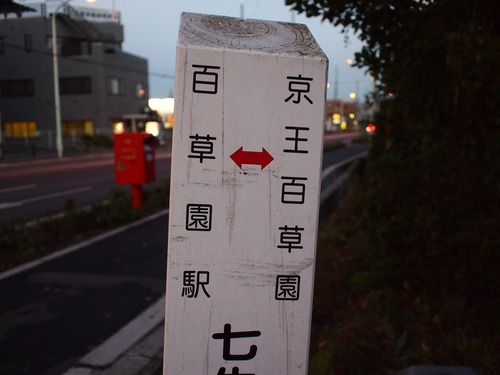 e0022839_024828.jpg