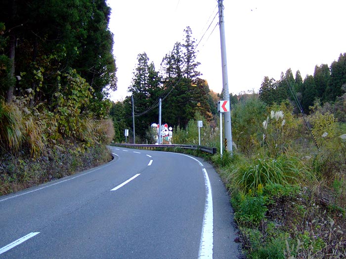 e0006242_818577.jpg