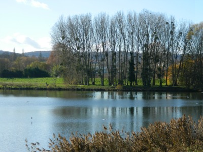 d0227344_7221367.jpg