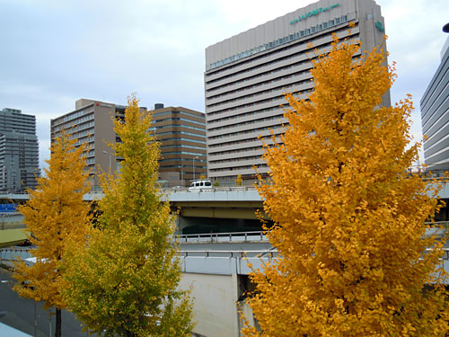e0034047_12334650.jpg