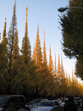 e0220547_20263513.jpg
