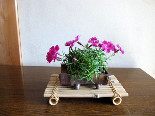c0147952_2282550.jpg
