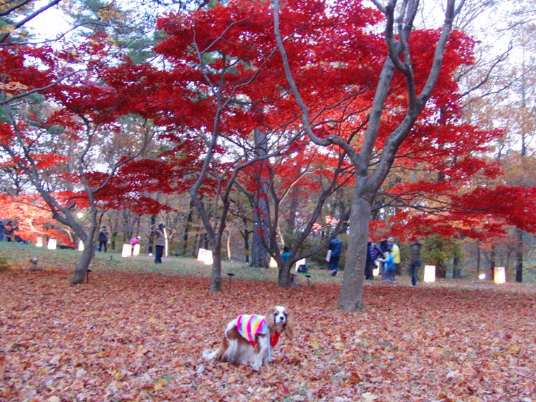b0279153_21102320.jpg