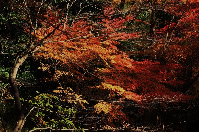 b0242358_02811.jpg