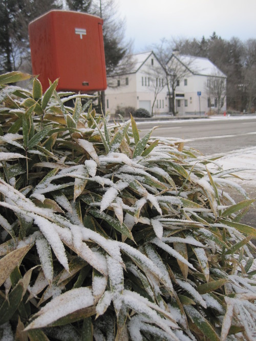 f0236260_1138571.jpg