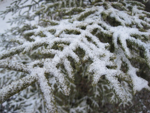 f0236260_11465221.jpg