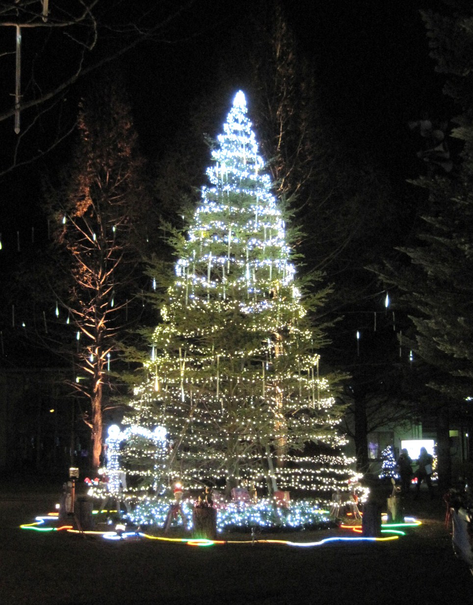 f0236260_1157158.jpg