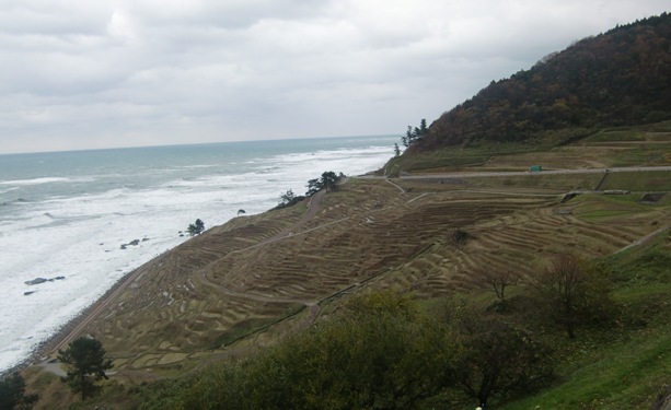 b0236665_14271988.jpg