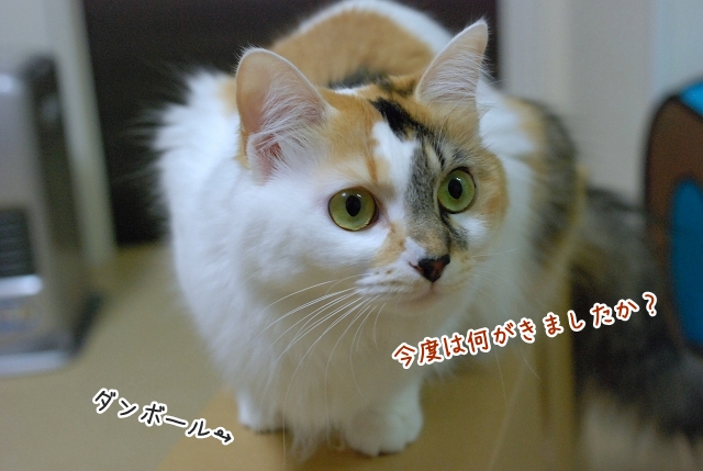 a0266372_2275323.jpg