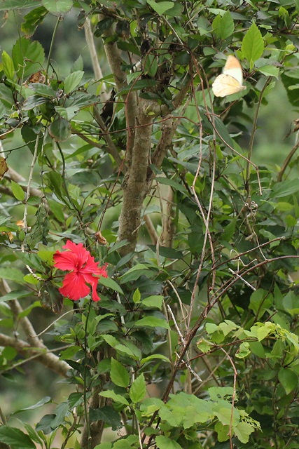 b0088772_9212822.jpg