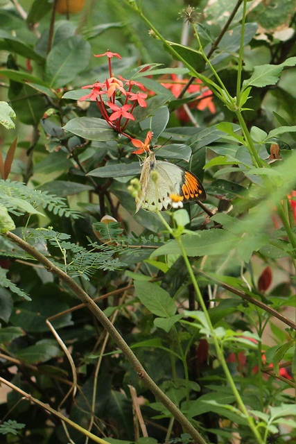 b0088772_9221137.jpg