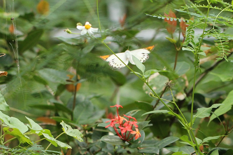b0088772_923592.jpg