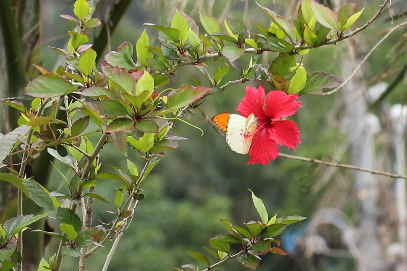 b0088772_929225.jpg