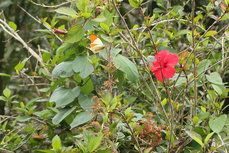 b0088772_929885.jpg