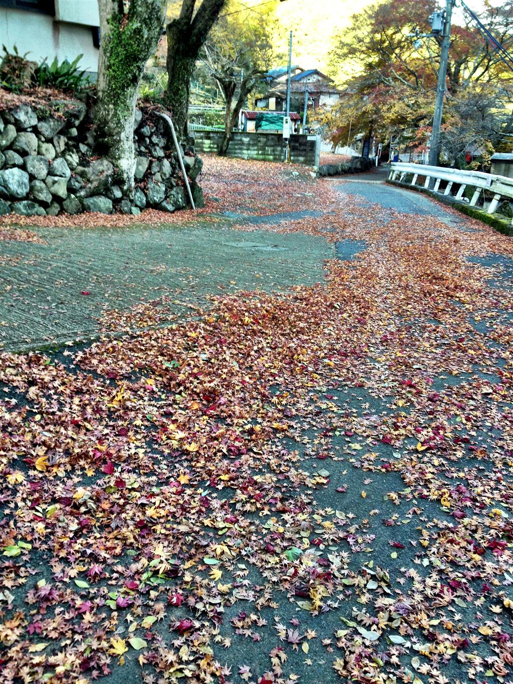 c0177576_9141046.jpg