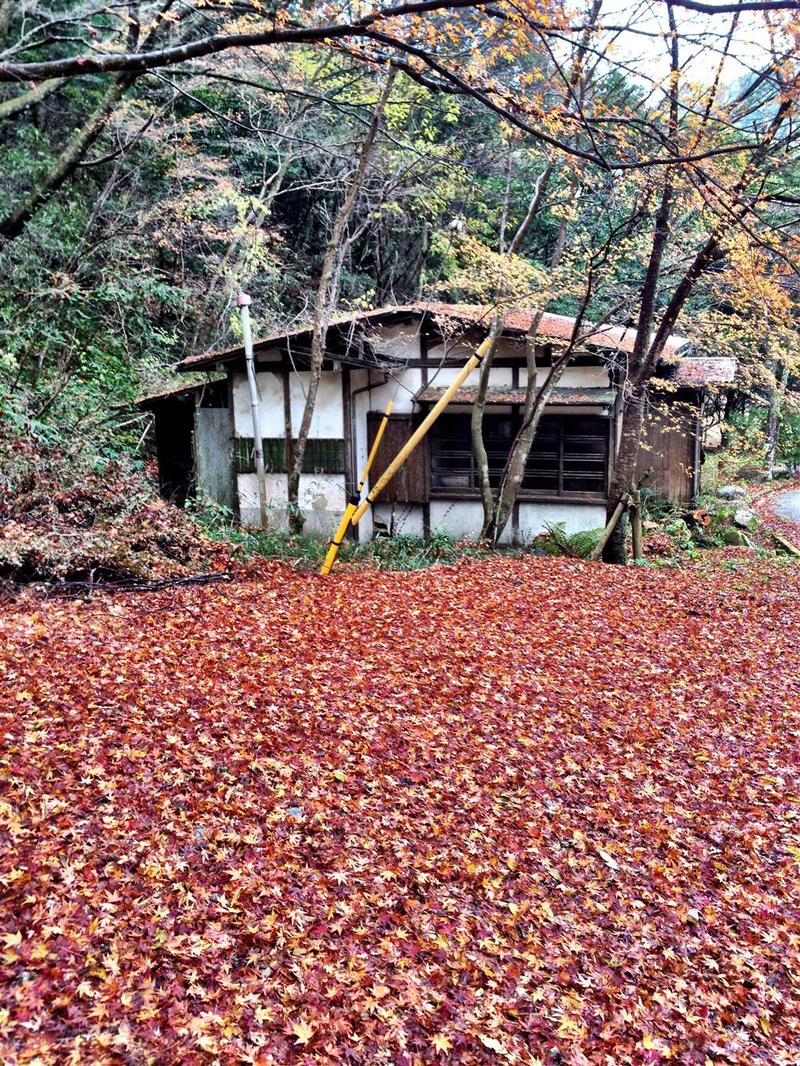 c0177576_9232155.jpg