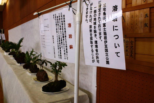 c0204385_23525861.jpg