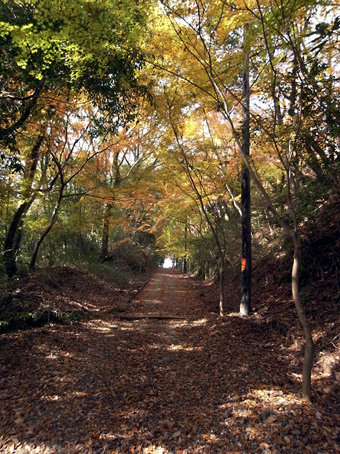 b0087187_20554949.jpg