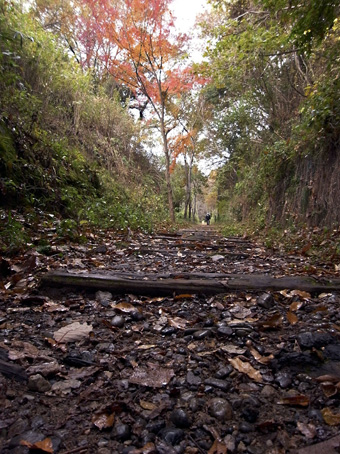 b0087187_20561516.jpg