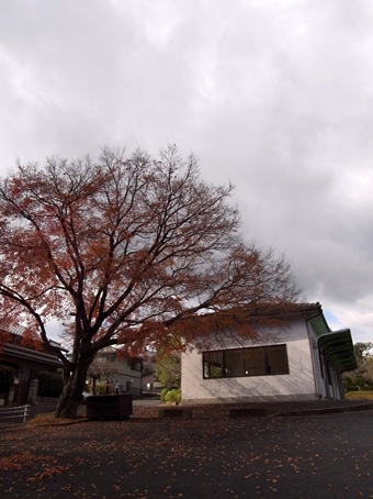 b0087187_20564420.jpg