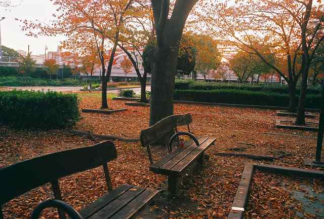 c0160387_7313353.jpg
