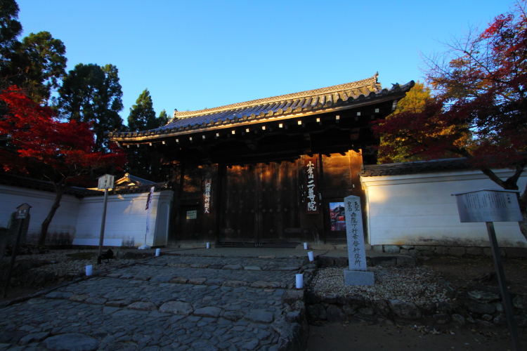 e0051888_2242.jpg