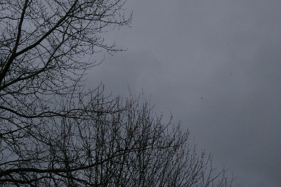 b0283192_16401640.jpg