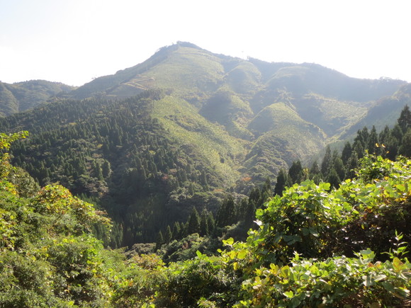 e0111793_1610054.jpg