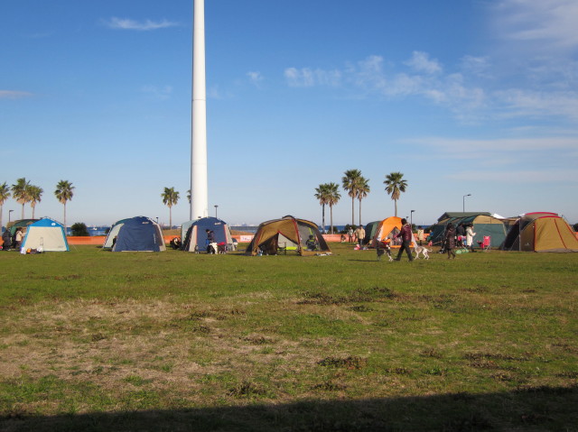 d0098295_22342149.jpg