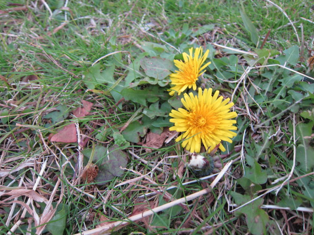 d0098295_23144425.jpg