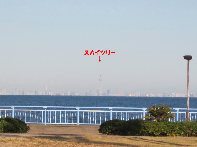 d0098295_23155349.jpg