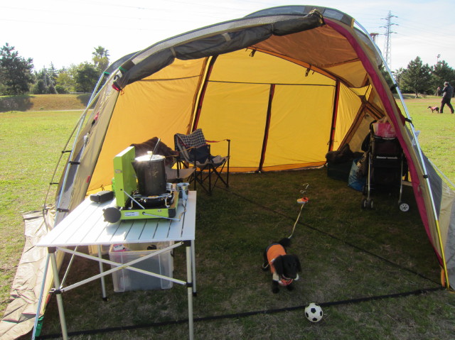 d0098295_23163654.jpg