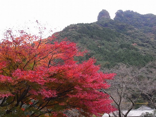 f0187402_20402733.jpg