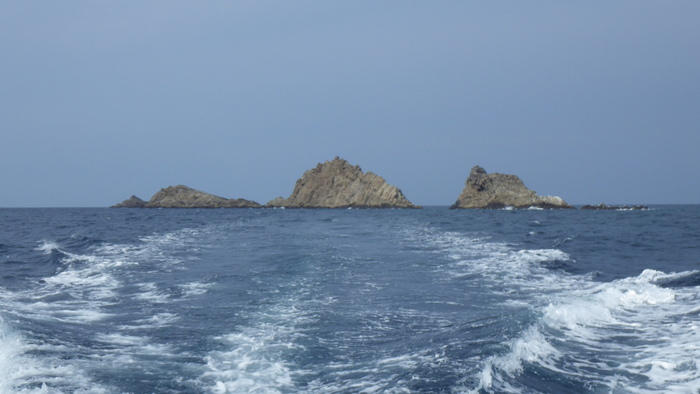 a0162707_015711.jpg