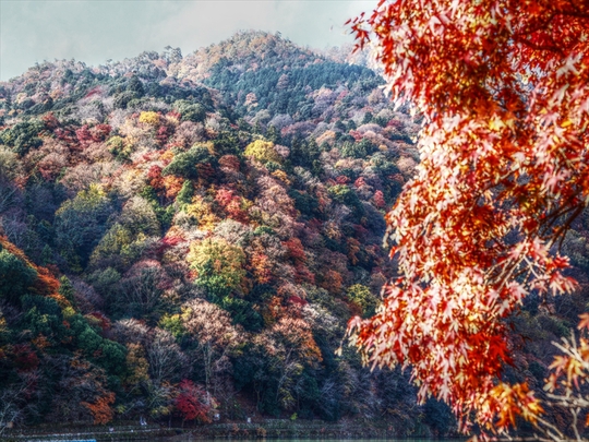 c0146510_21595271.jpg