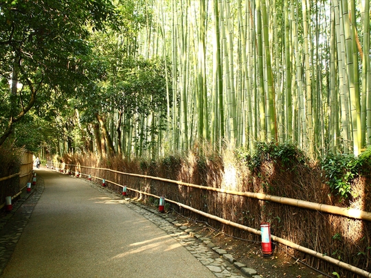 c0146510_2214138.jpg