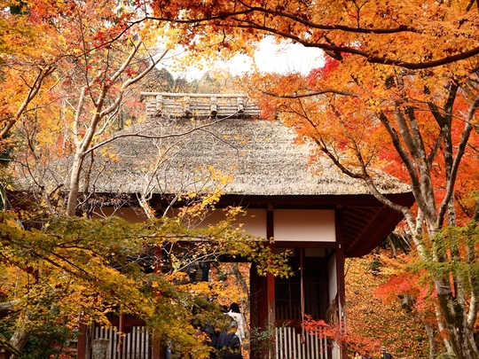c0146510_2263246.jpg